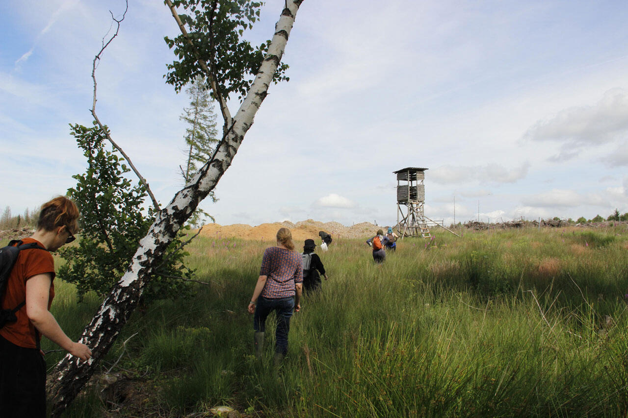 Exkursion zum Reinhardswald mit Studierenden der Visuellen Kommunikation und Vertreter*innen des Teams KLIMA der Oberen Naturschutzbehörde