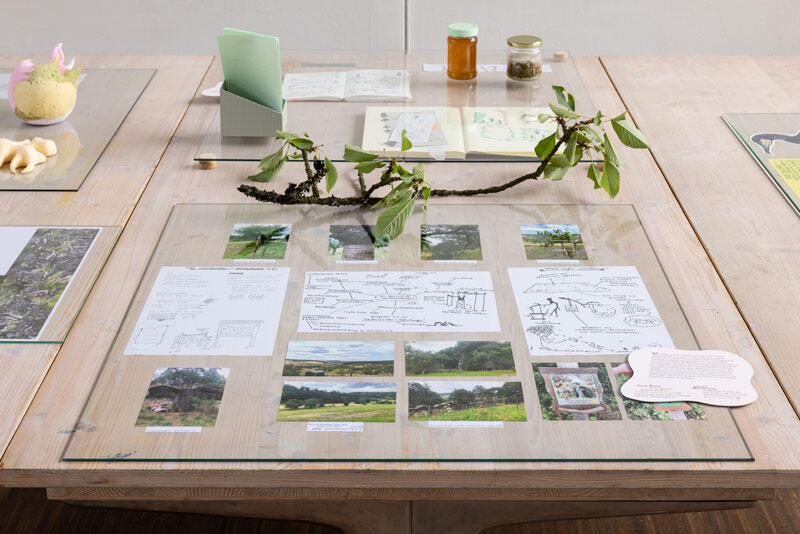 (Zwischen-)Ergebnisse einer interdisziplinären Zusammenarbeit